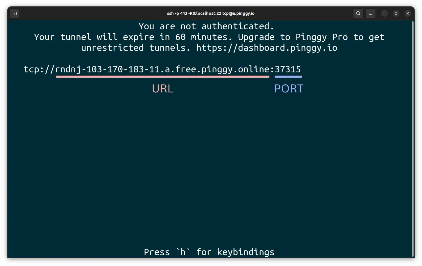 Get the URL and port from the output of the Pinggy command to connect to RDP of  Raspberry Pi IoT device.