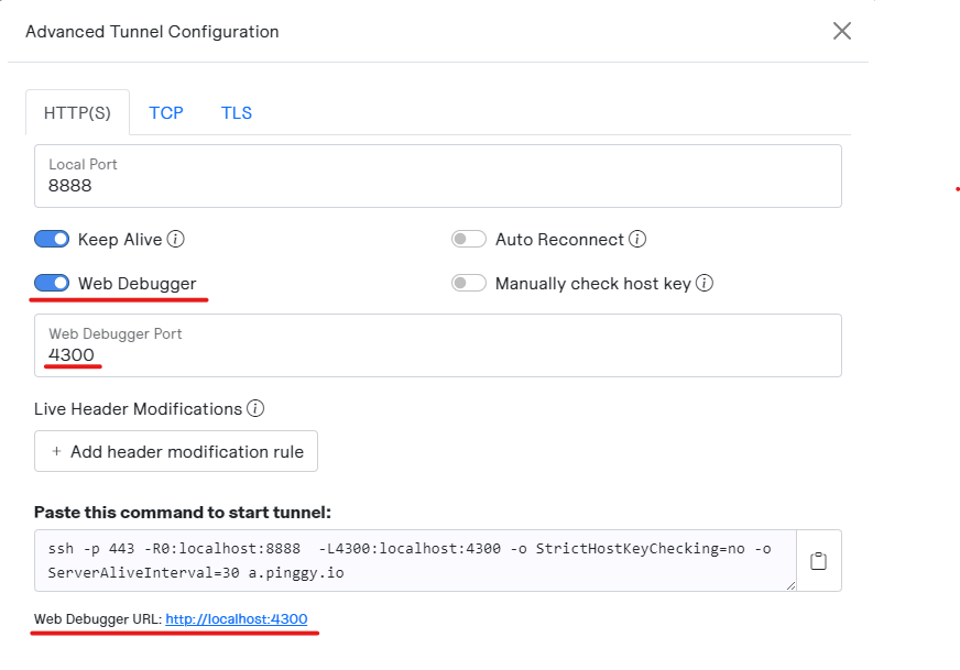 Pinggy options to enable web debugger.